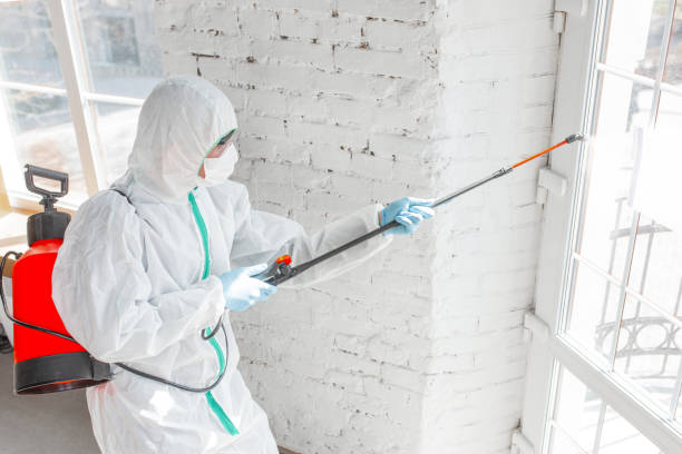 Parkville, MD Mold Inspection Company