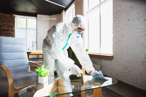 Best Comprehensive Air Testing for Mold Contaminants  in Parkville, MD